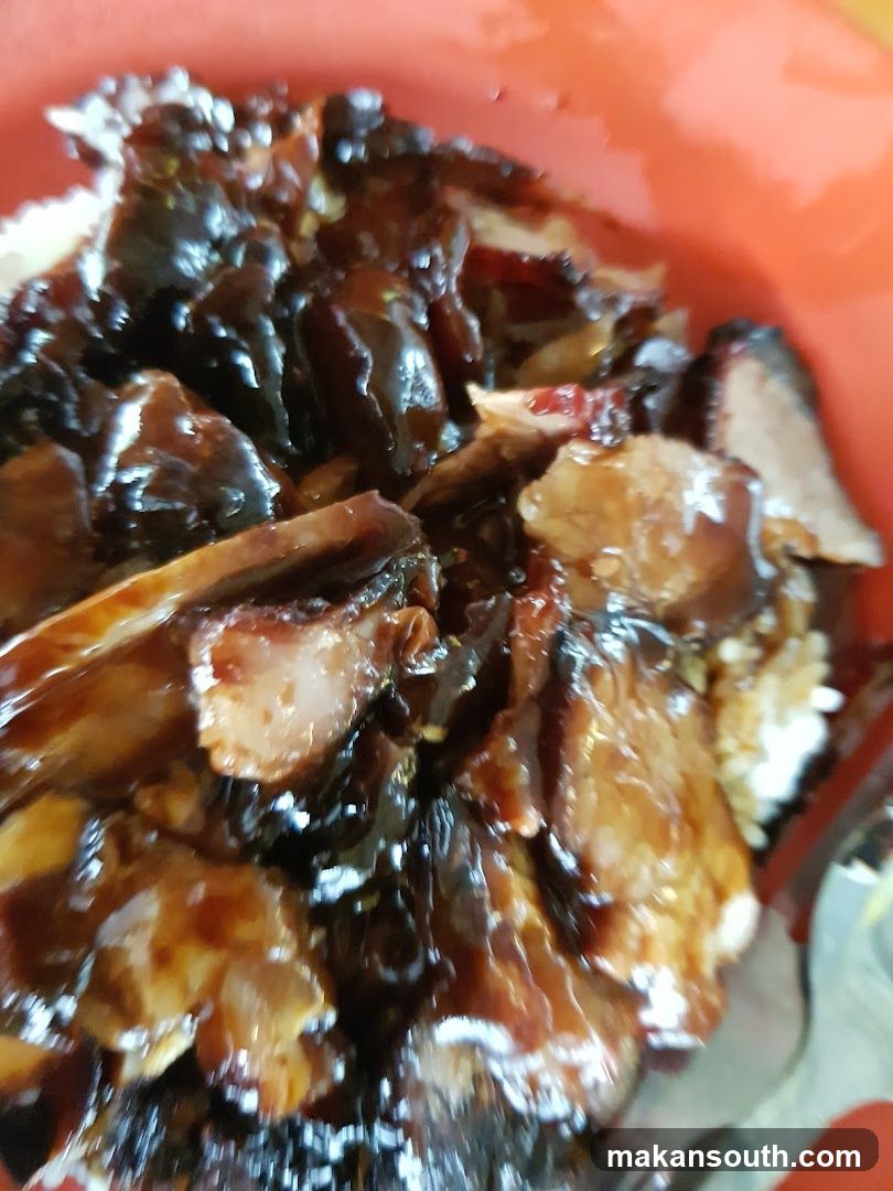 Sauced Meat Dishes