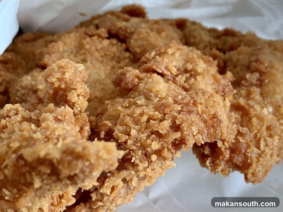 Fried Chicken Close-Up