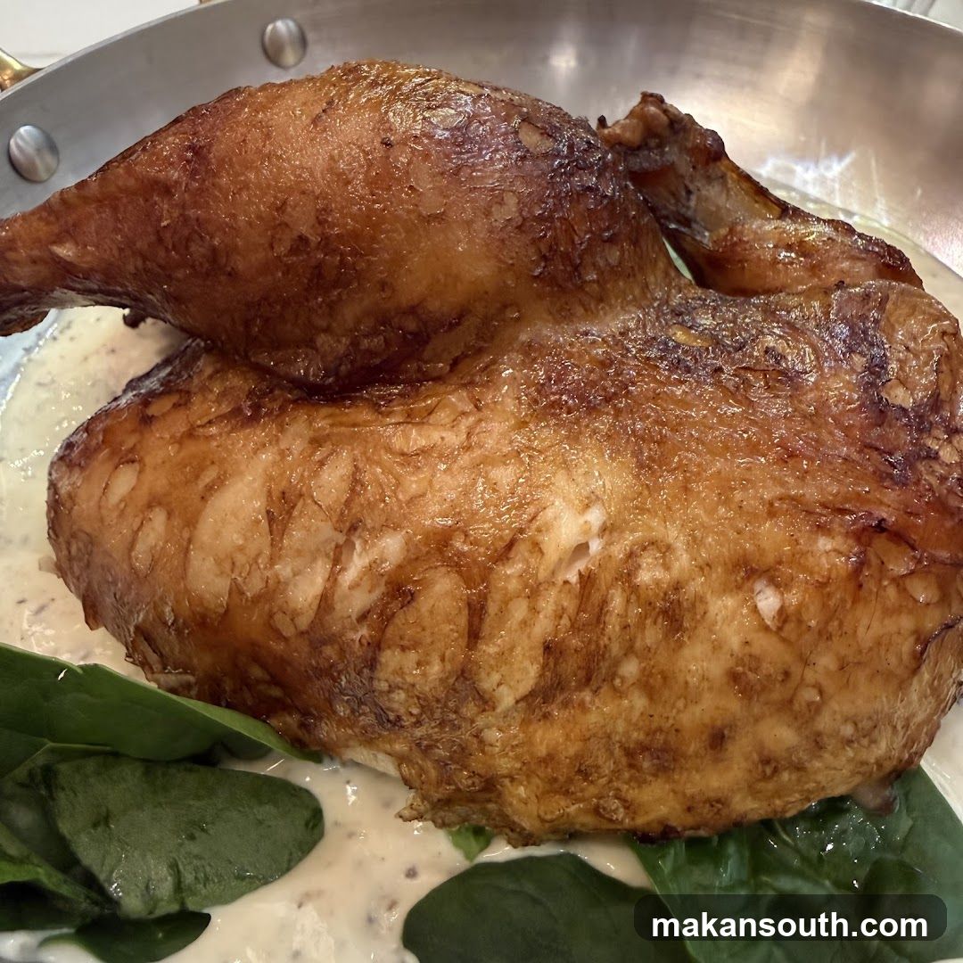 Poulet - VivoCity