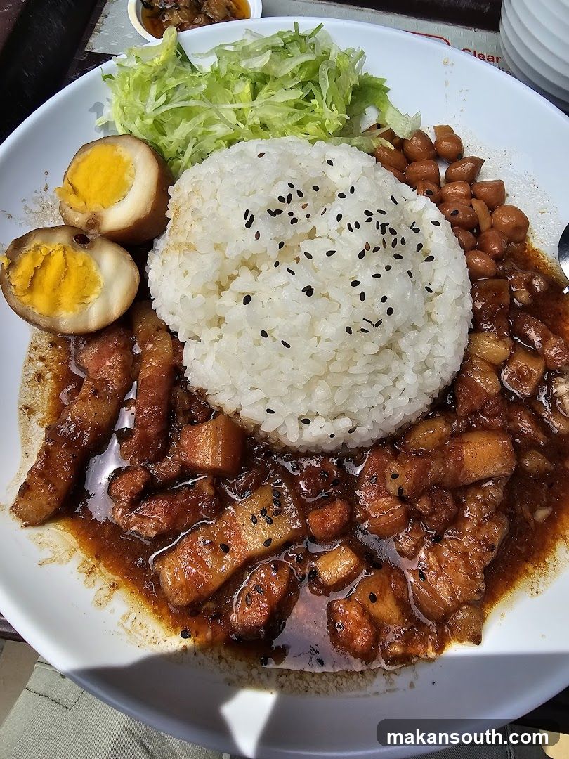 Braised Pork Rice Bowl