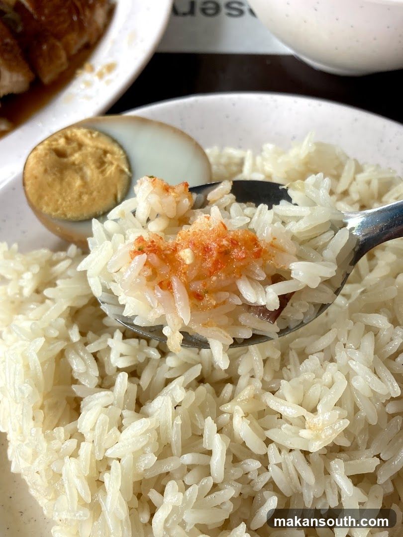 Rice with Sauce and Boiled Egg