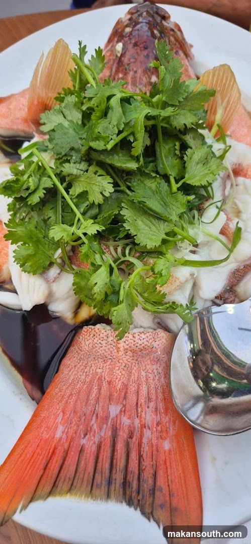 Steamed Fish with Cilantro