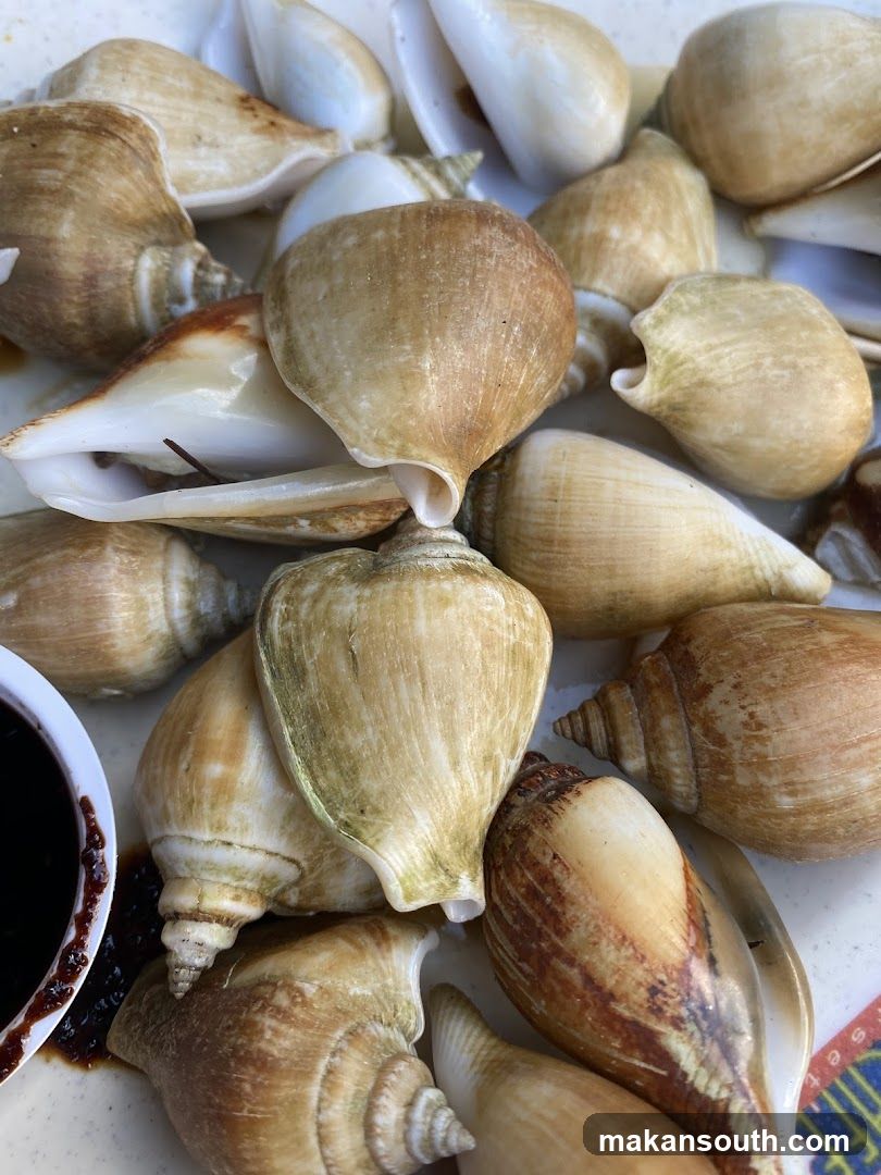 Seafood Shell Display