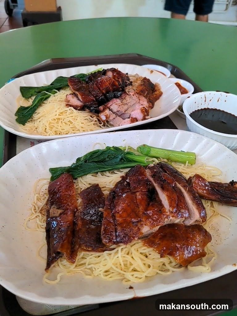 Noodle Dish with Roasted Meat