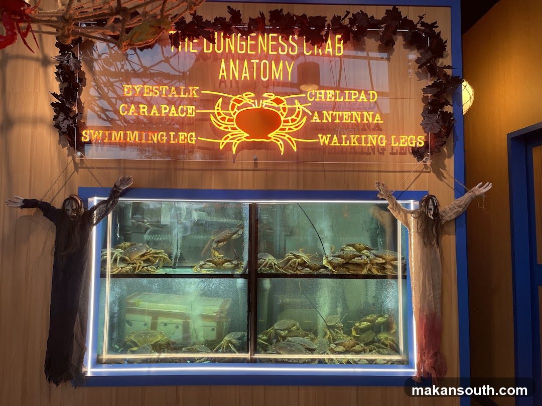 Crab Anatomy Display