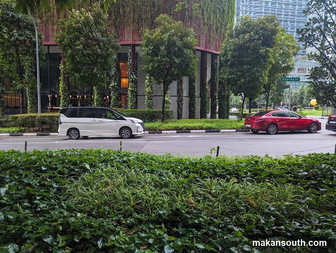 Street Scene with Vehicles and Greenery