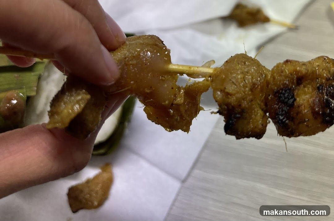Grilled Meat Skewer