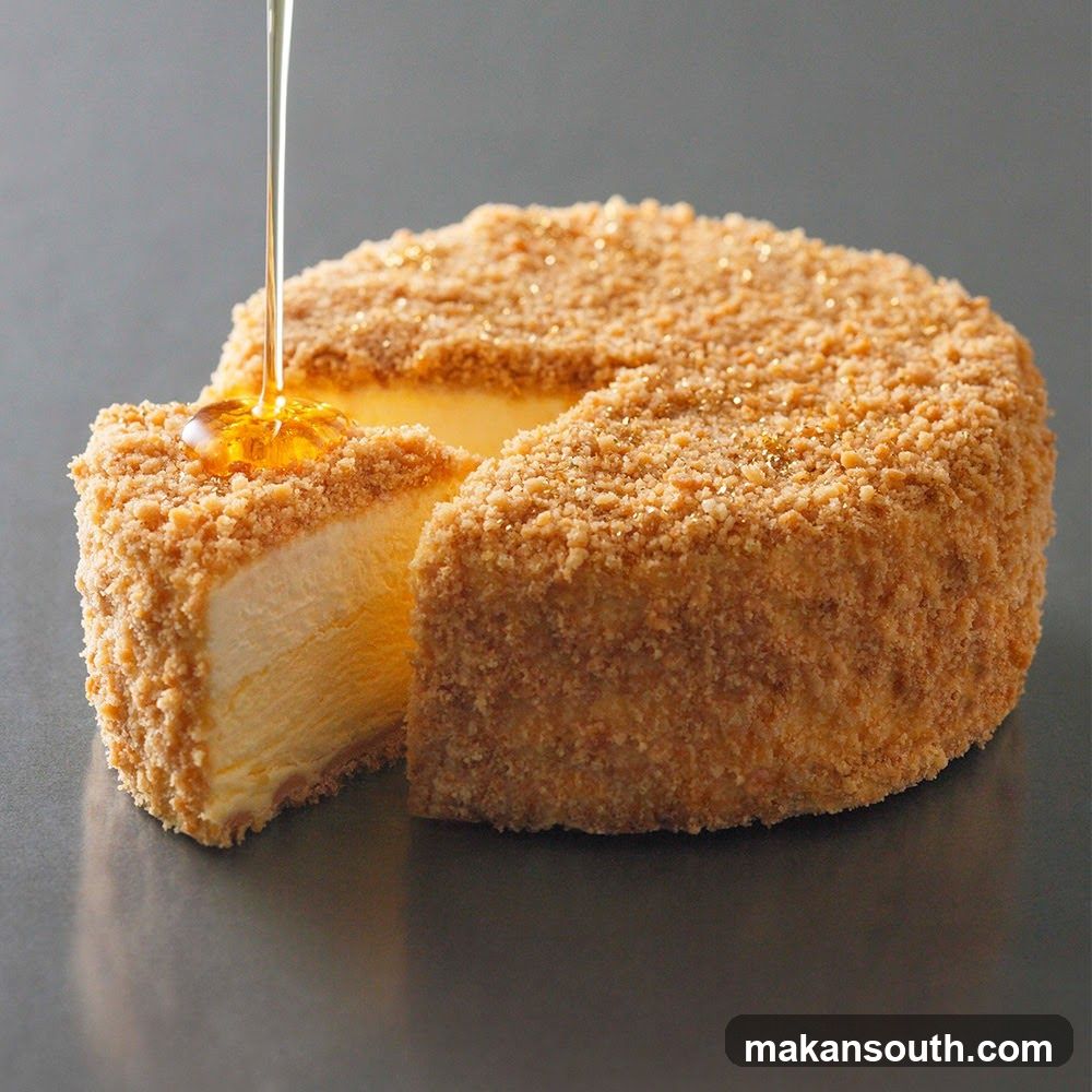 Crusted Cheesecake with Honey Drizzle