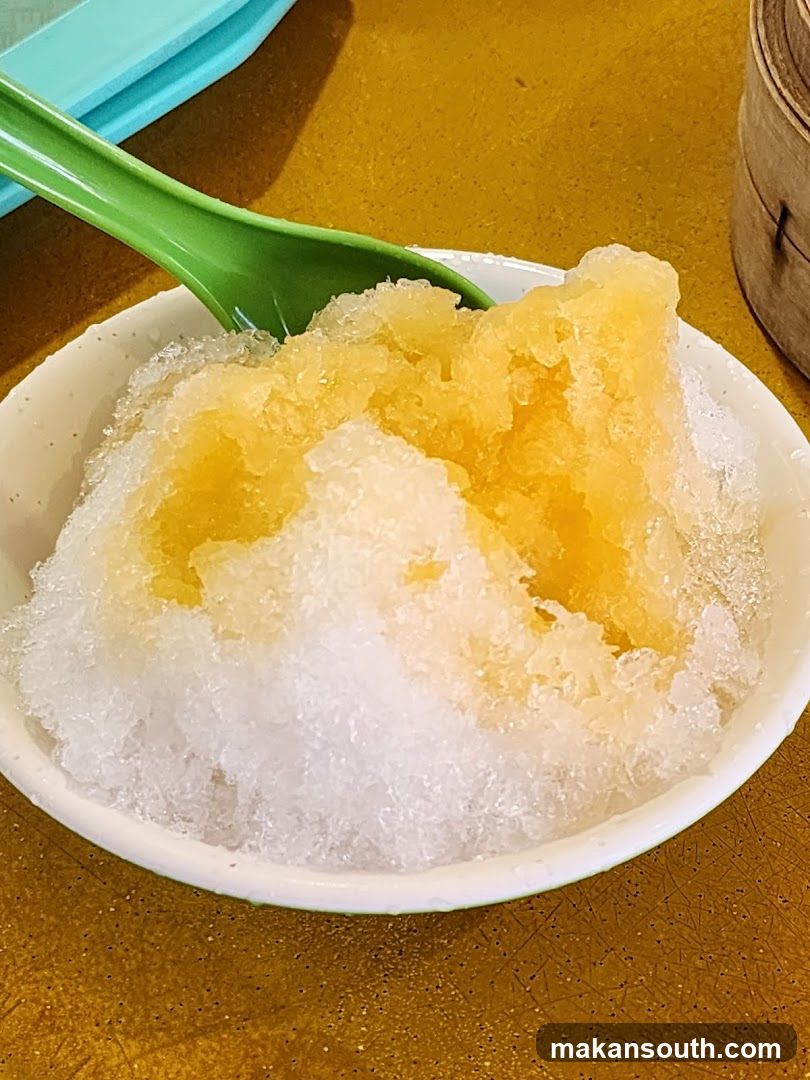 Shaved Ice Dessert Bowl