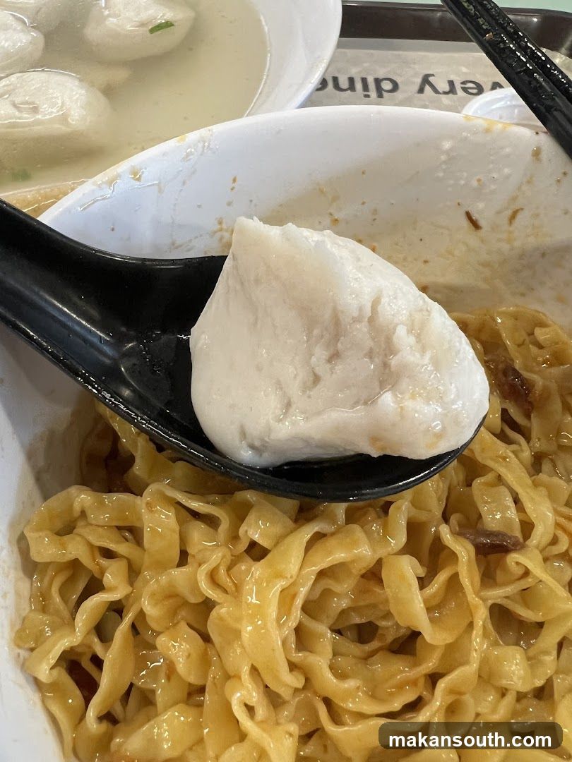 Noodle Bowl with Dumpling
