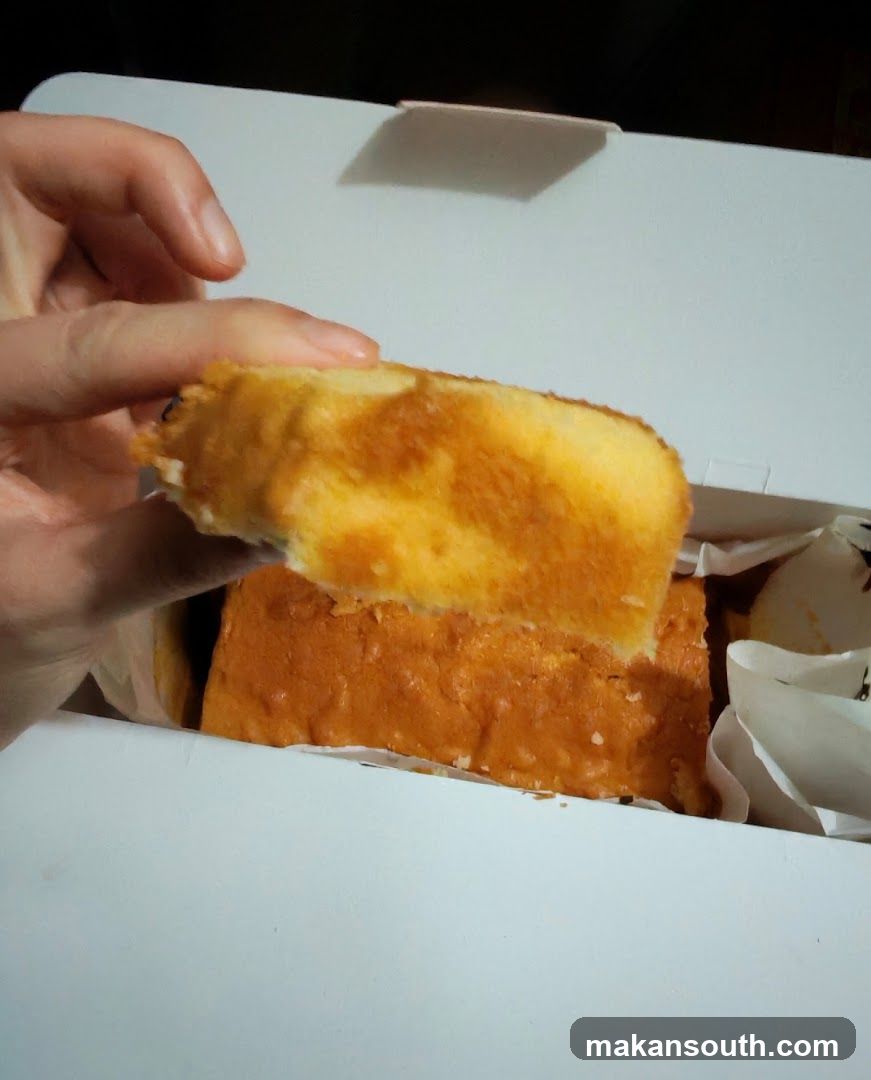 Hand holding a slice of cake