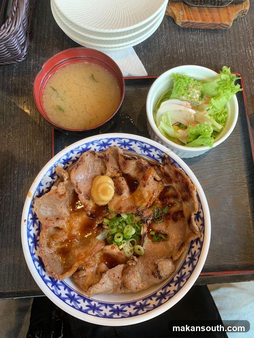 Japanese Meal with Tonkatsu and Salad