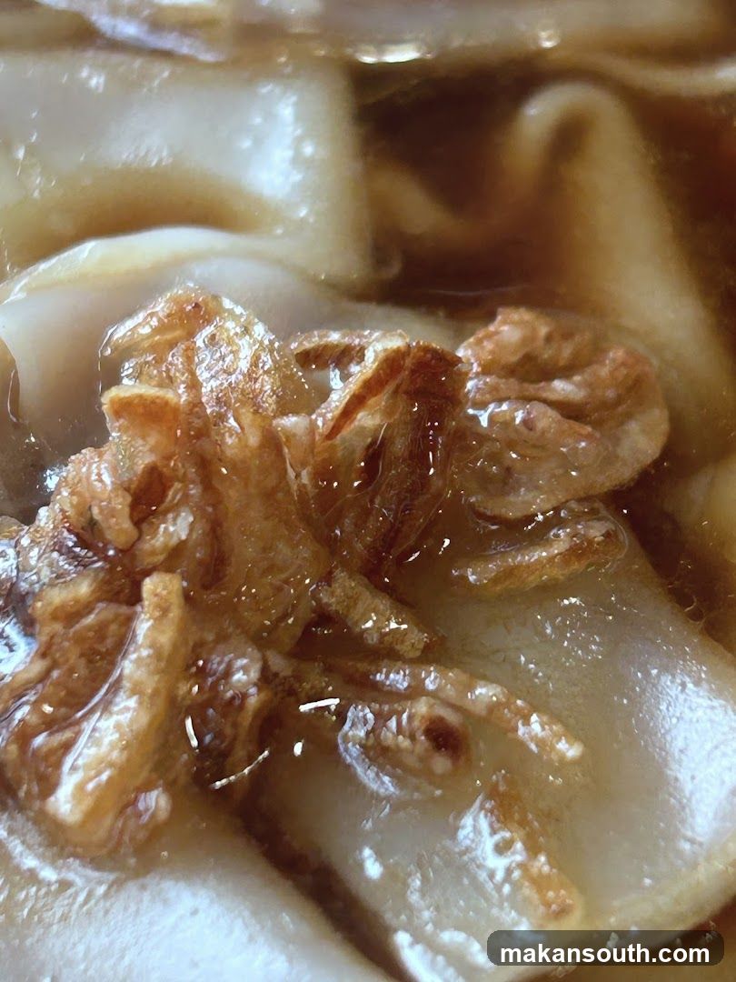Close-up of Noodle Dish with Fried Onions