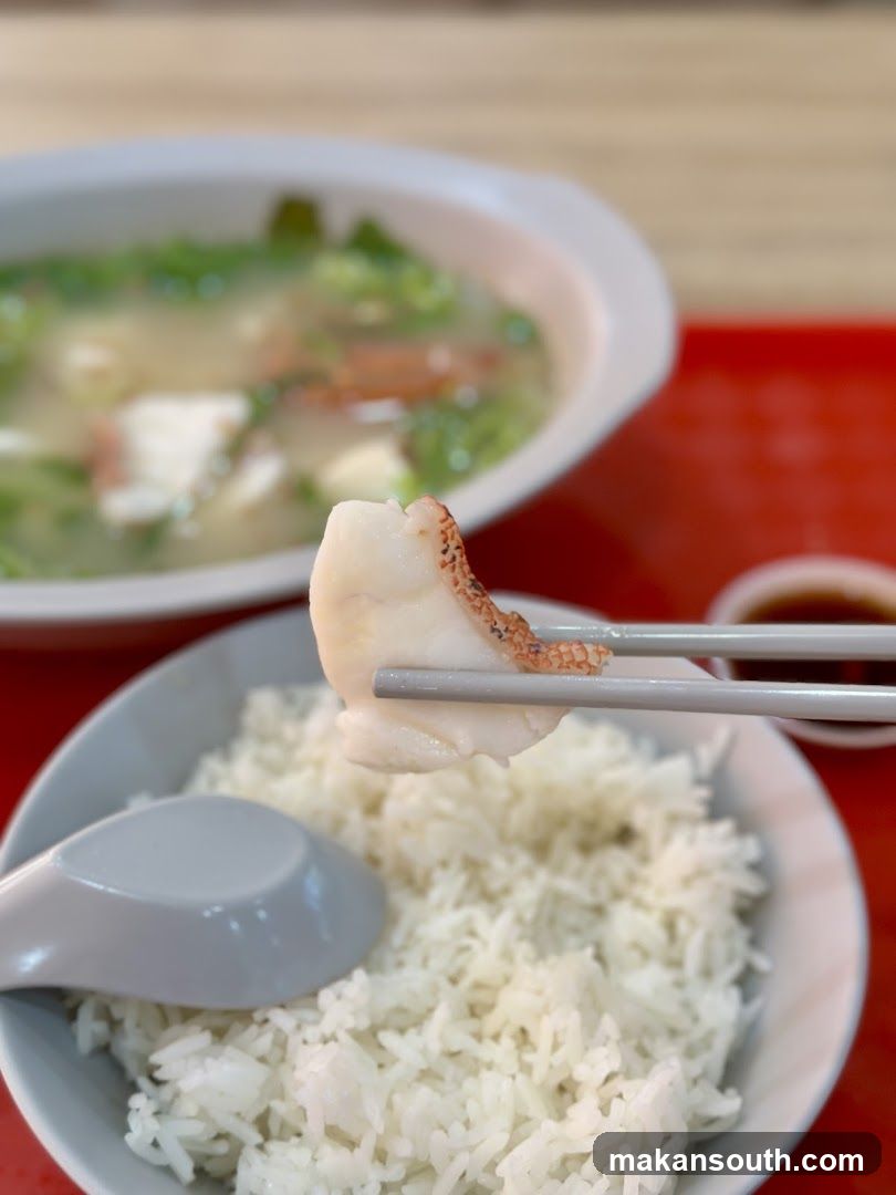 Qing Yuan Fish Soup 慶源鱼汤