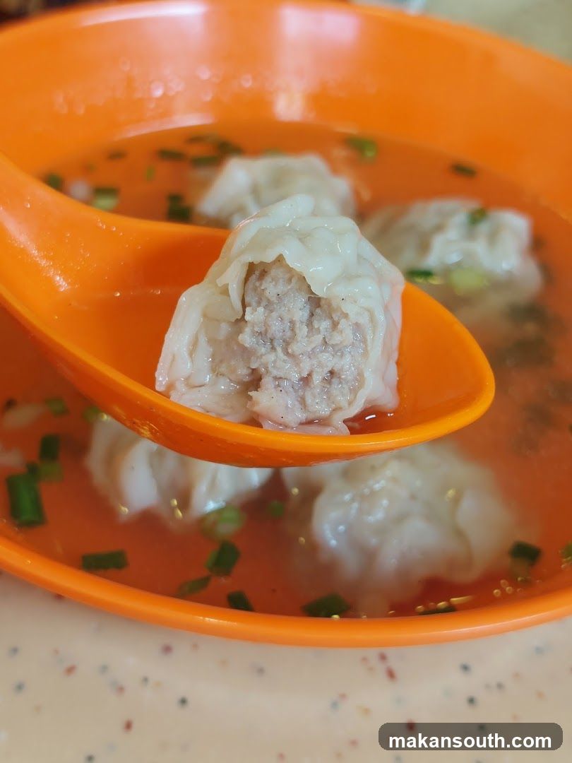 Wonton Soup in Orange Bowl