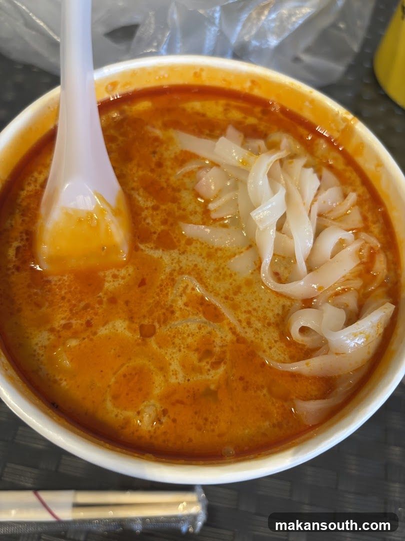 Bowl of Spicy Noodle Soup