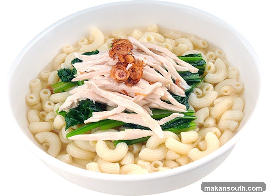Chicken Noodle Soup Bowl