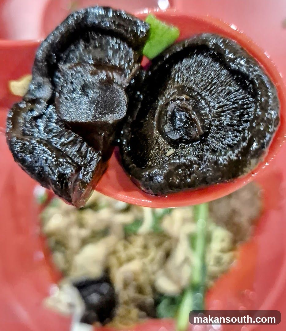 Spoonful of Mushrooms