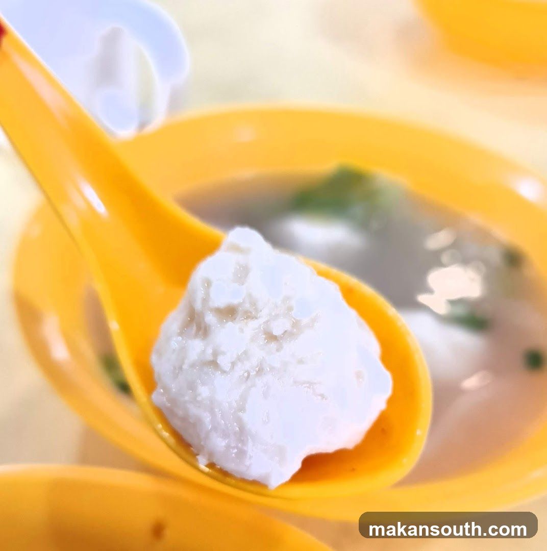 Fish Ball Soup