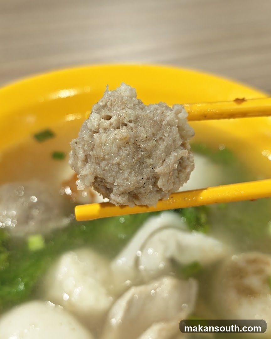 Meatball in Soup