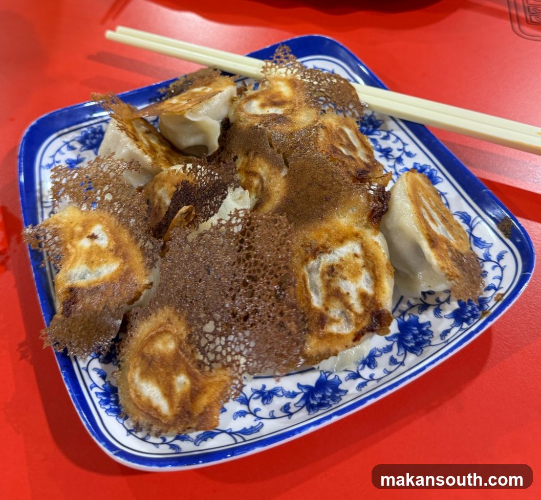 Pan-fried dumplings