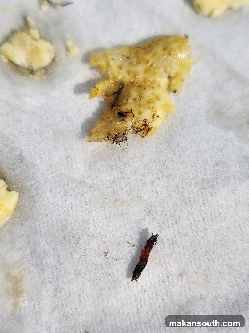 Food Contamination