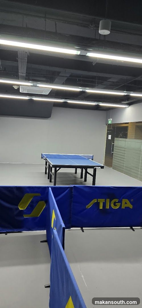 Ping Pong Table