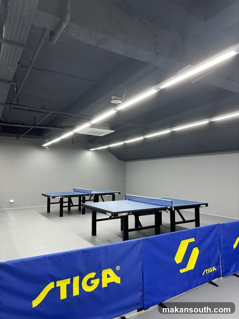 Ping Pong Tables