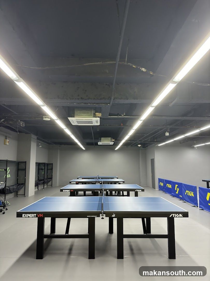 Ping Pong Tables