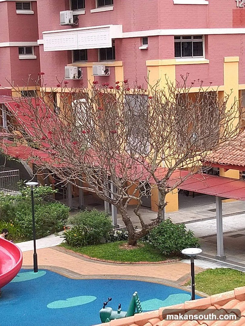 Outdoor Playground Area