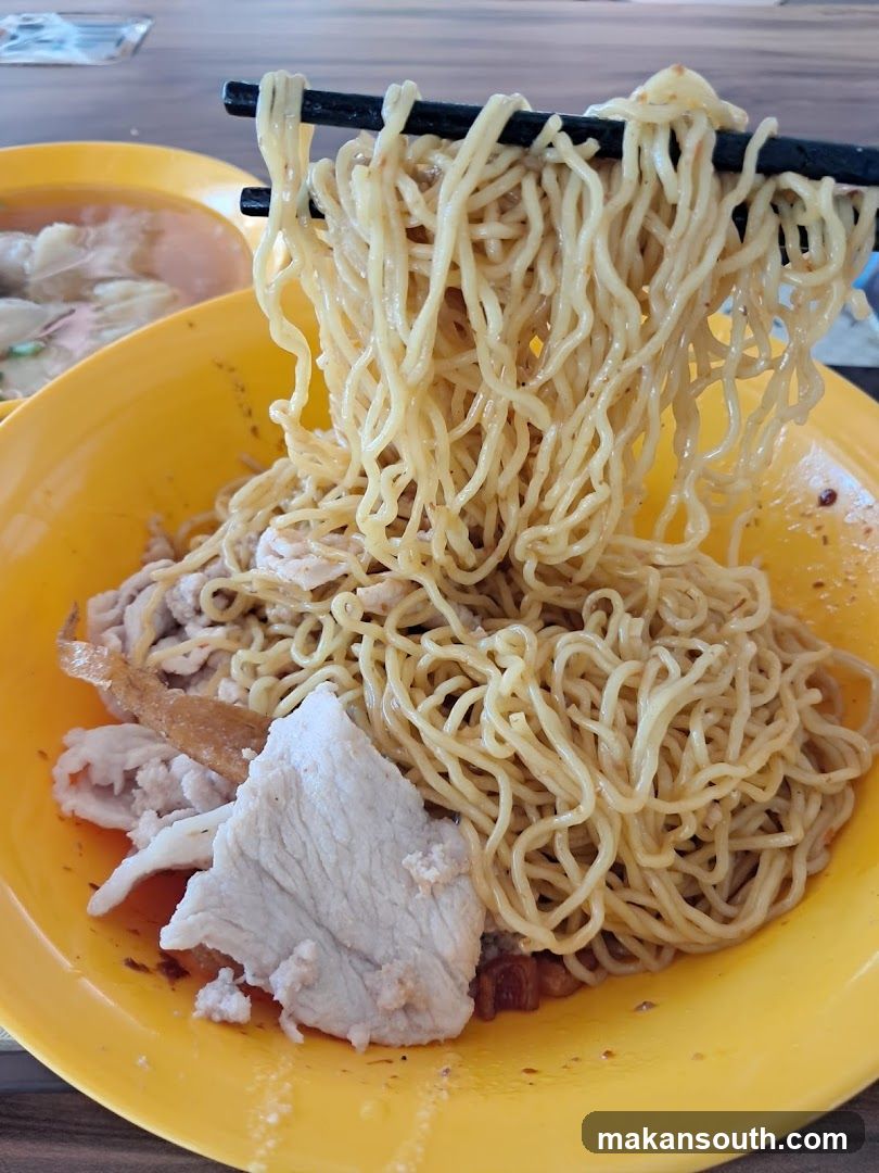 Noodles with Pork