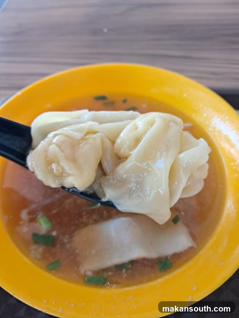 Wonton Soup