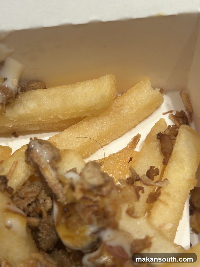 Fries with meat and sauce
