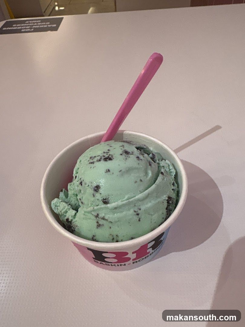 Mint Chocolate Chip Ice Cream