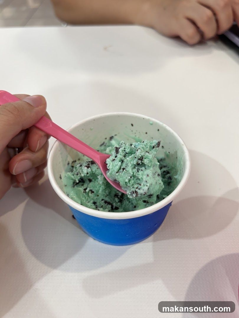 Mint Chocolate Chip Ice Cream