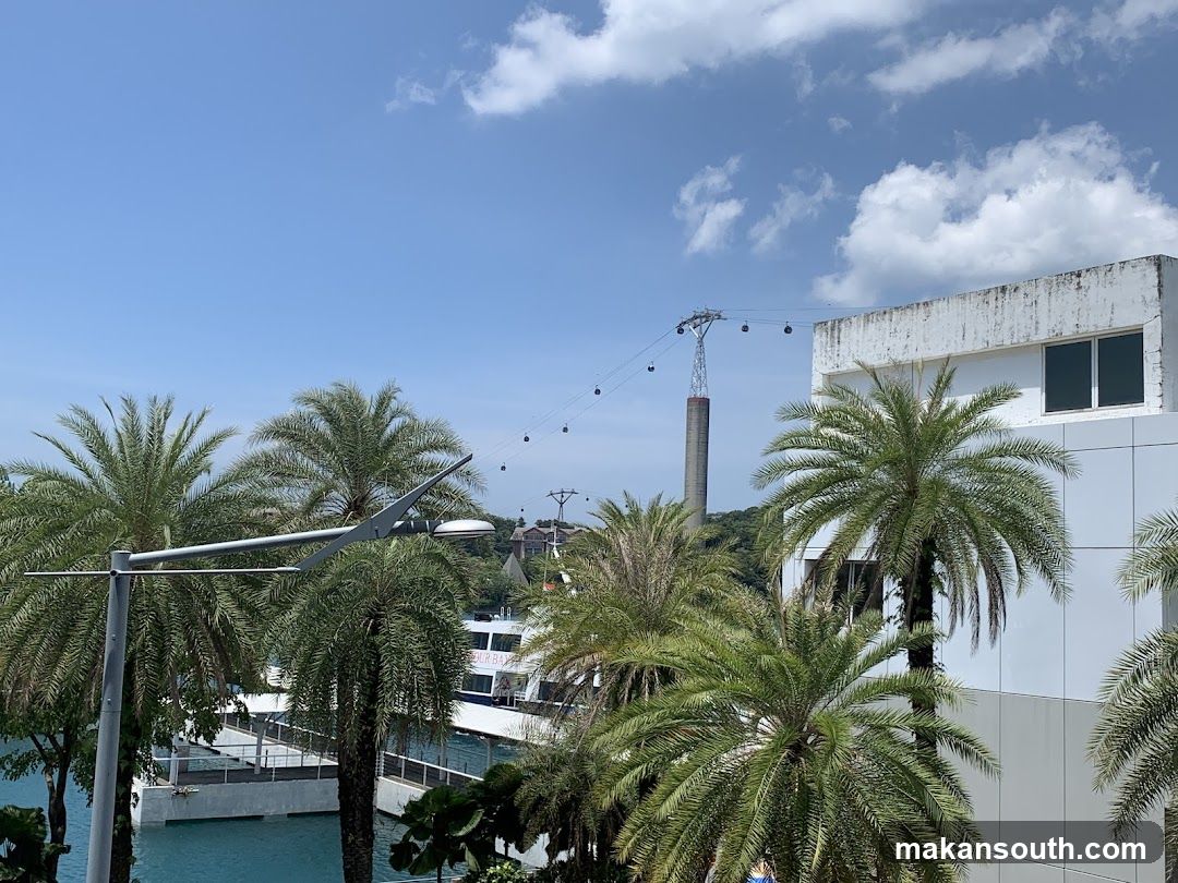 Palm Trees and Cable Cars
