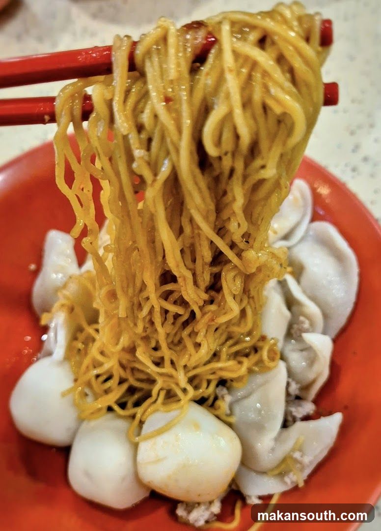 Noodles with Dumplings