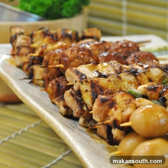 TORIQ Japanese Yakitori Box
