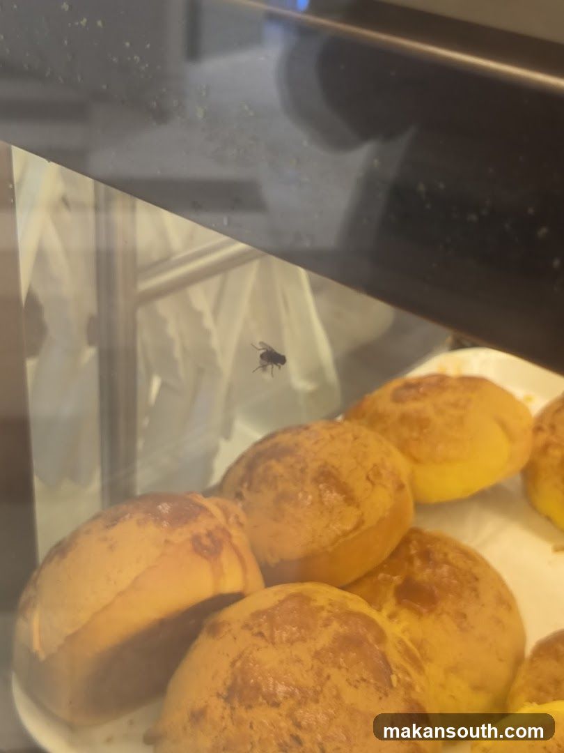 Fly on display case with baked goods