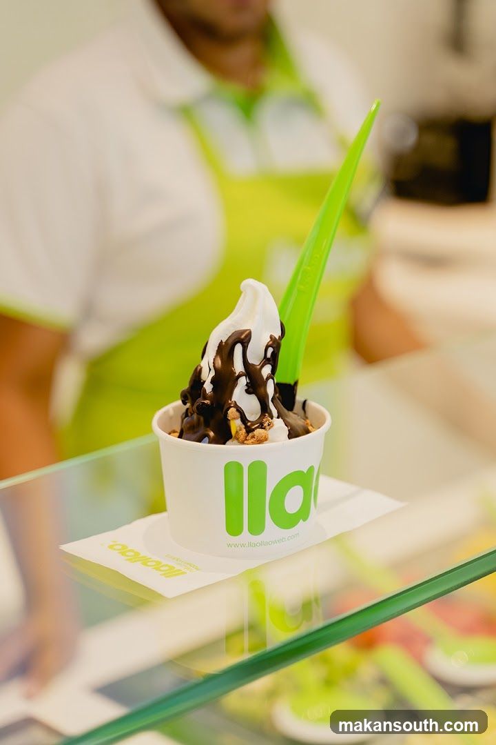 Frozen Yogurt with Chocolate Drizzle