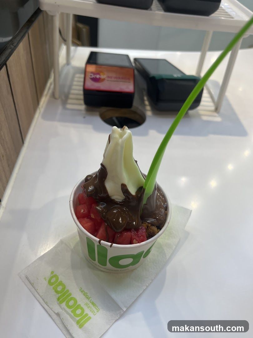 Frozen Yogurt with Chocolate and Fruit