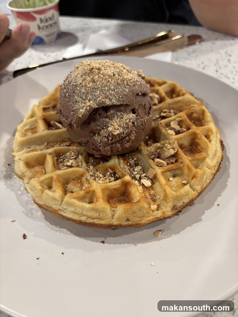 Chocolate Ice Cream Waffle