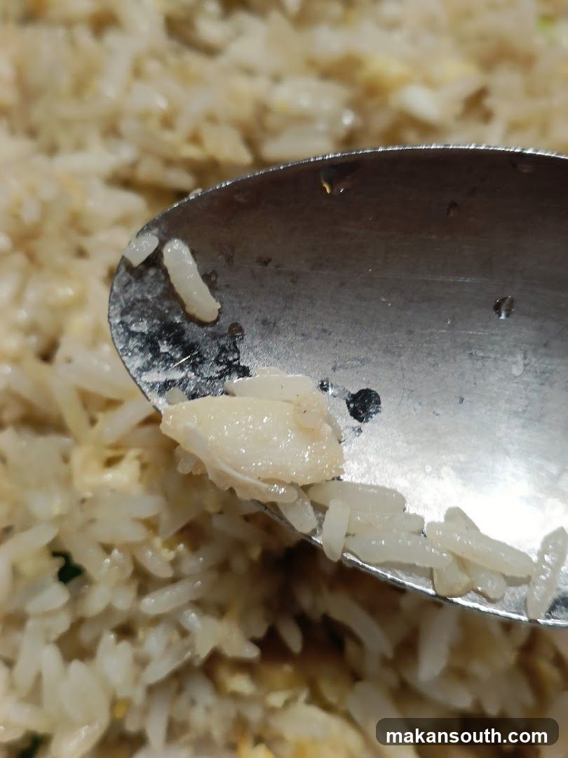 Spoonful of Fried Rice