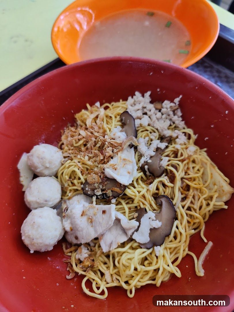 Noodles with Toppings and Soup