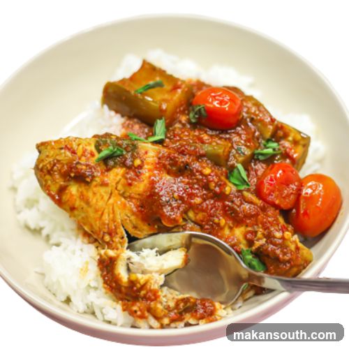 Fish with Sauce and Rice