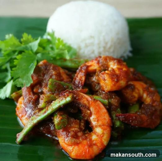Spicy Shrimp with Rice