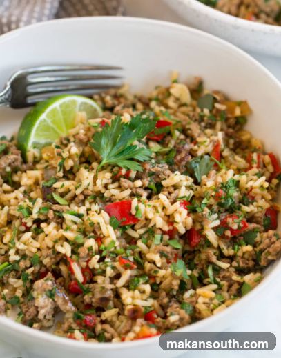 Rice and Ground Meat Dish