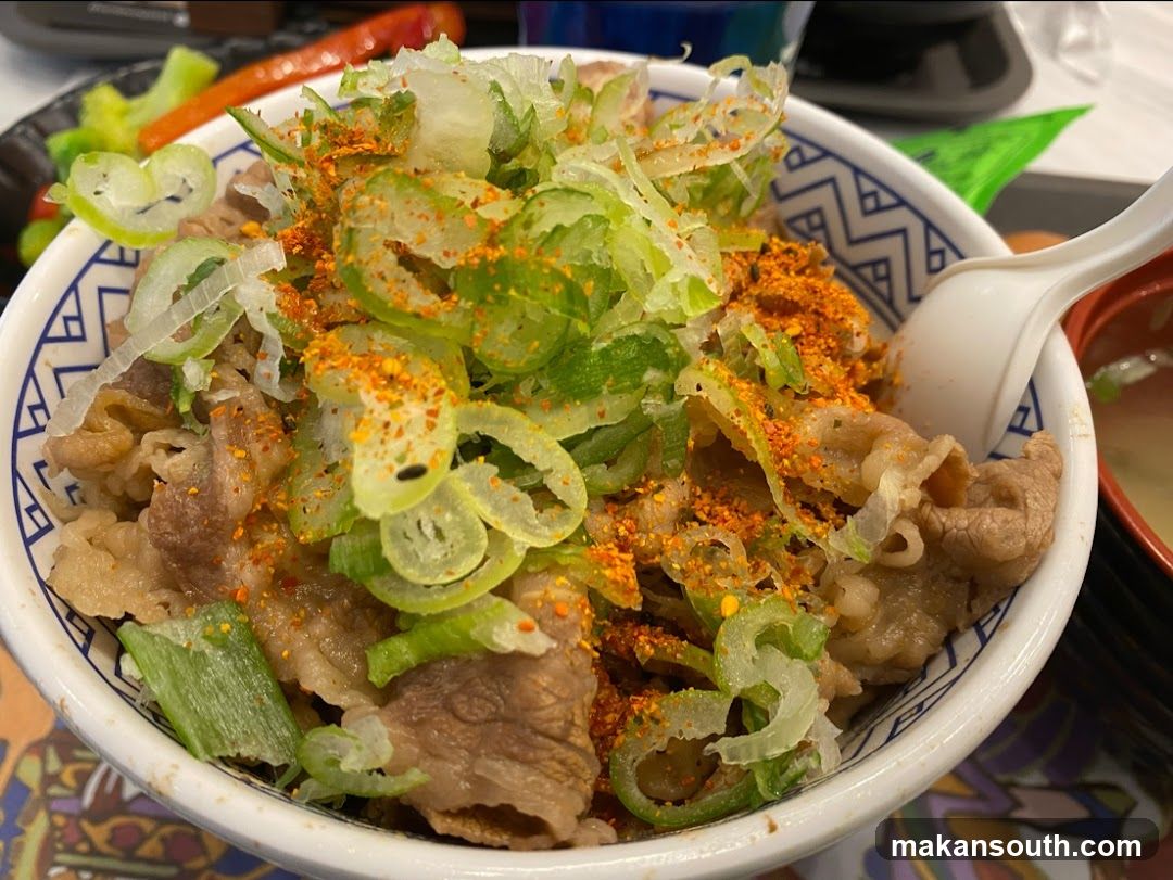 Beef Bowl with Scallions