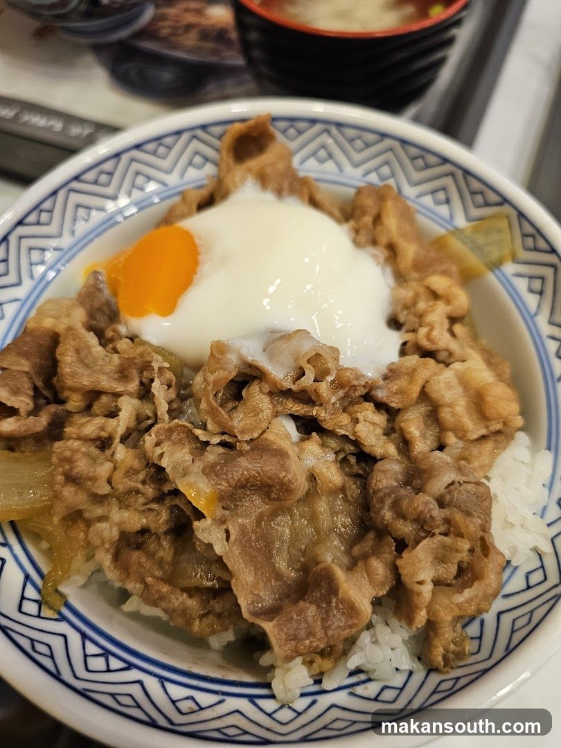 Beef bowl with egg