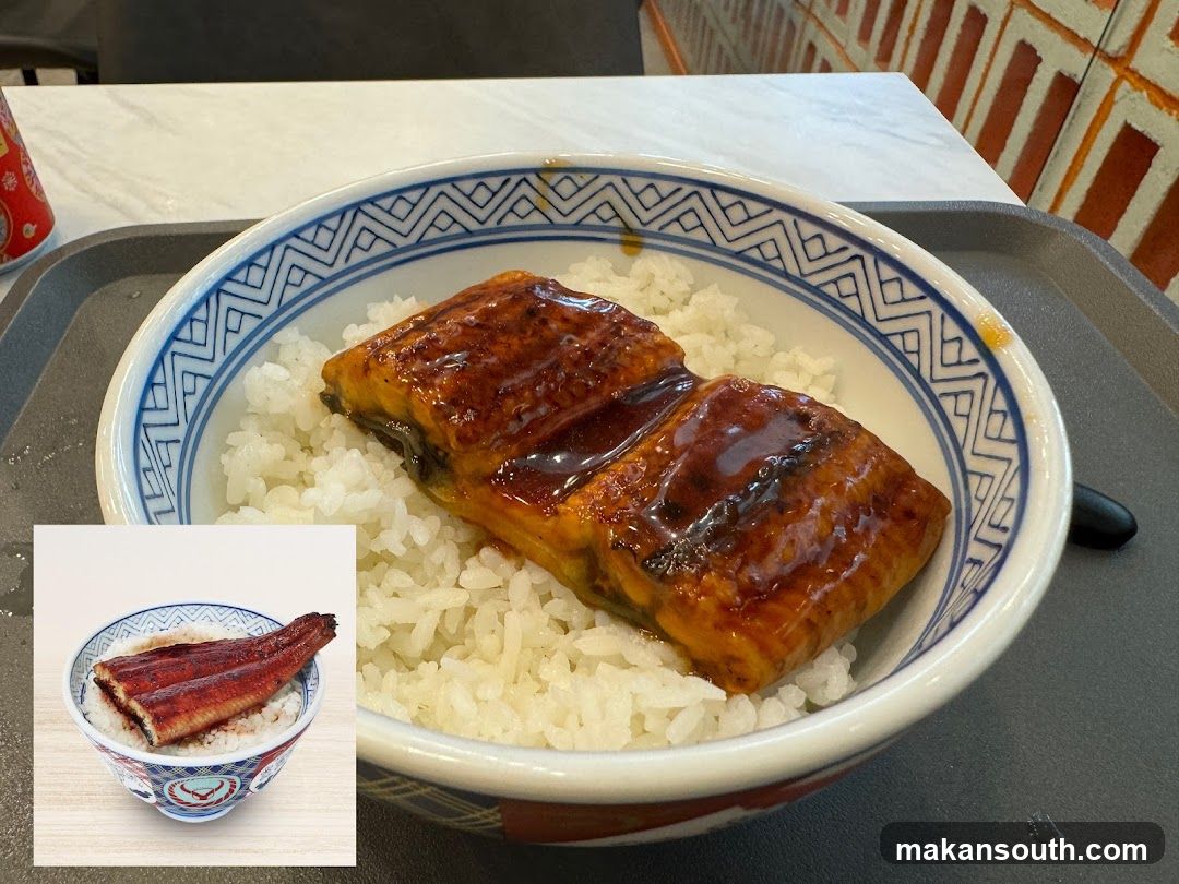 Unagi Donburi